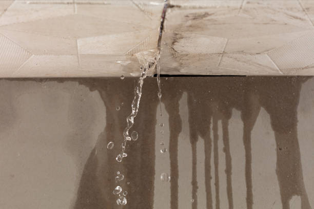 Professional Structural Drying technician working in Cascade, ID